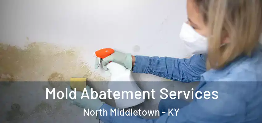  Mold Abatement Services North Middletown - KY