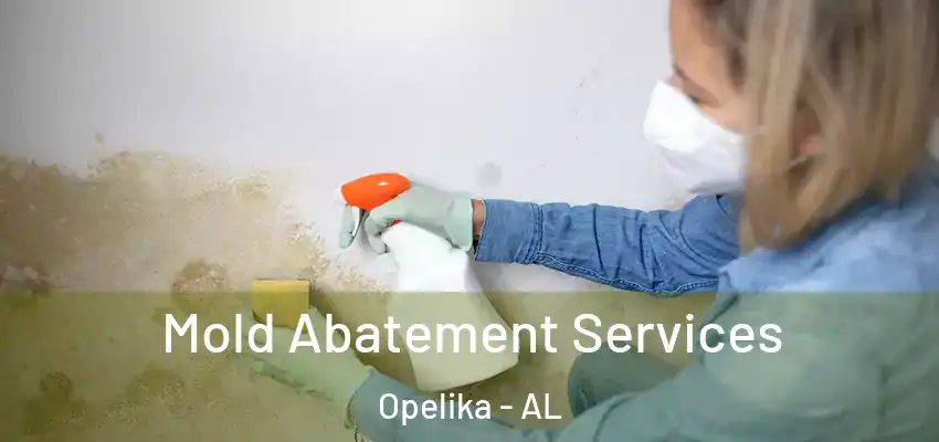 Mold Abatement Services Opelika - AL