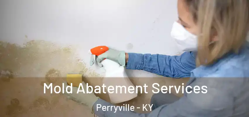 Mold Abatement Services Perryville - KY