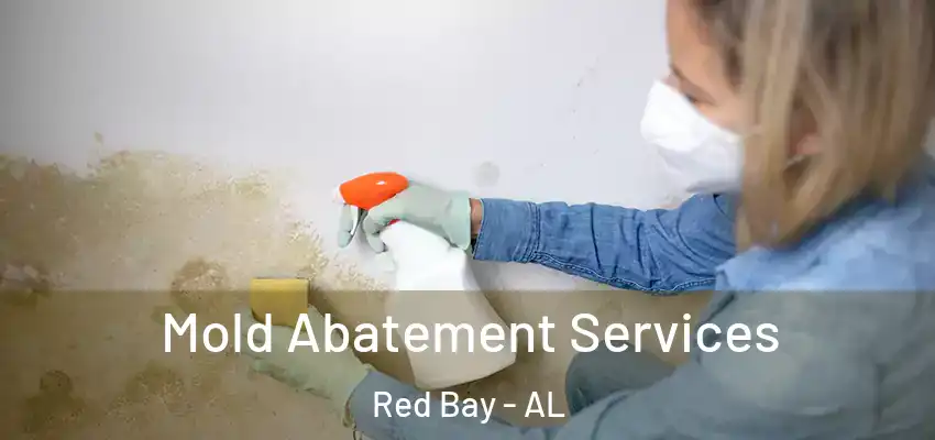  Mold Abatement Services Red Bay - AL