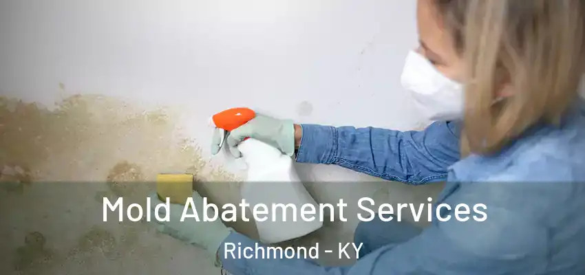  Mold Abatement Services Richmond - KY