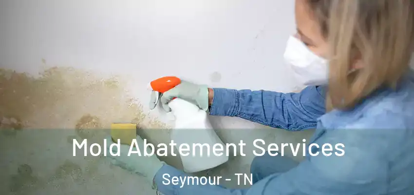 Mold Abatement Services Seymour - TN