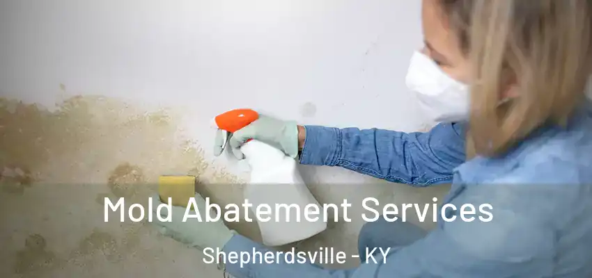  Mold Abatement Services Shepherdsville - KY