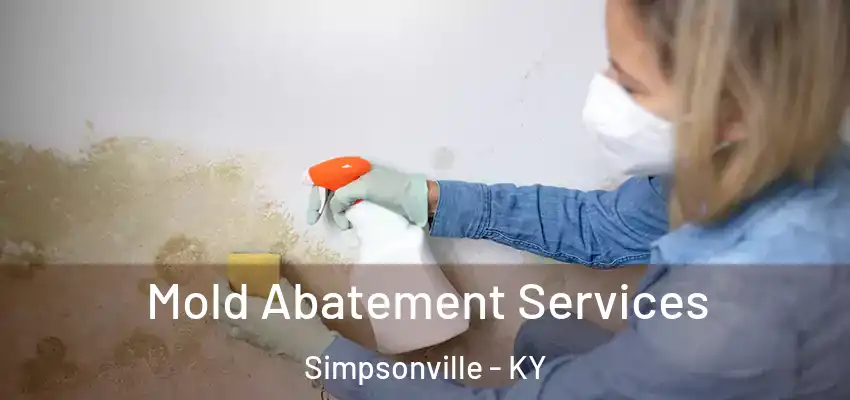  Mold Abatement Services Simpsonville - KY