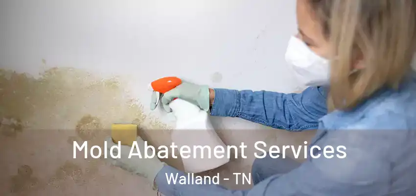  Mold Abatement Services Walland - TN
