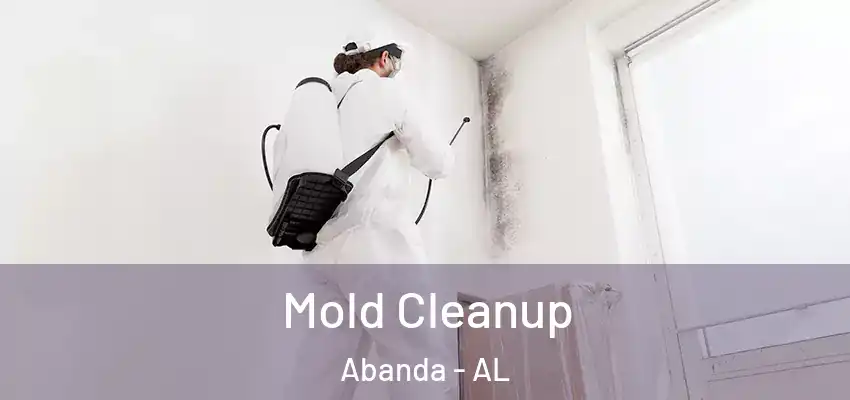 Mold Cleanup Abanda - AL