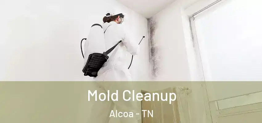  Mold Cleanup Alcoa - TN