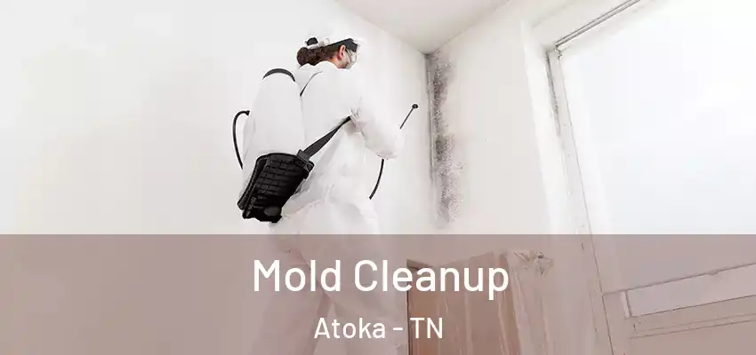 Mold Cleanup Atoka - TN