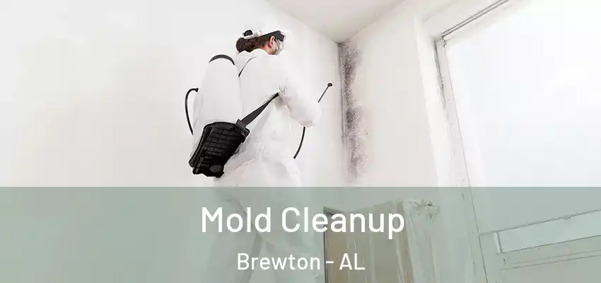  Mold Cleanup Brewton - AL