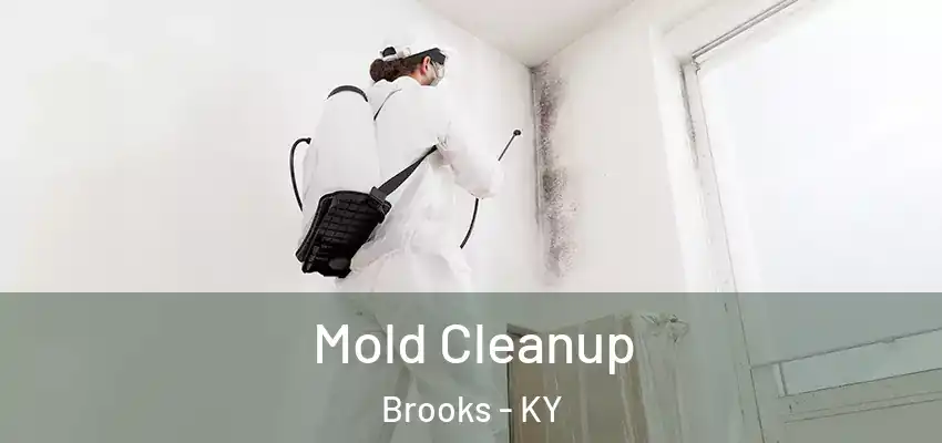 Mold Cleanup Brooks - KY