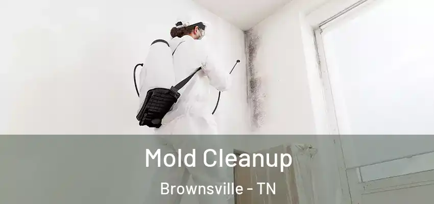  Mold Cleanup Brownsville - TN