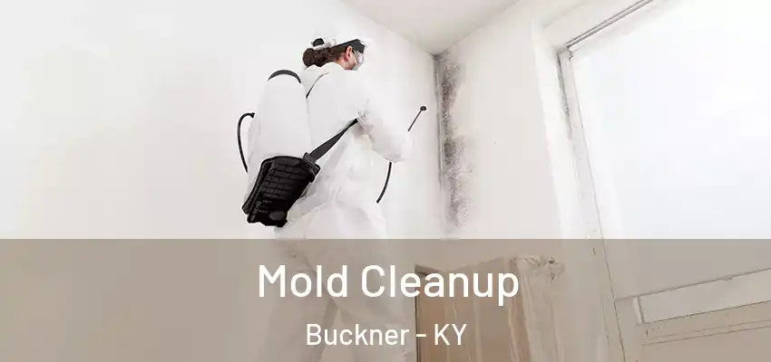 Mold Cleanup Buckner - KY