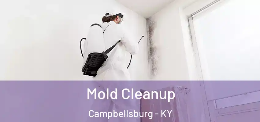 Mold Cleanup Campbellsburg - KY
