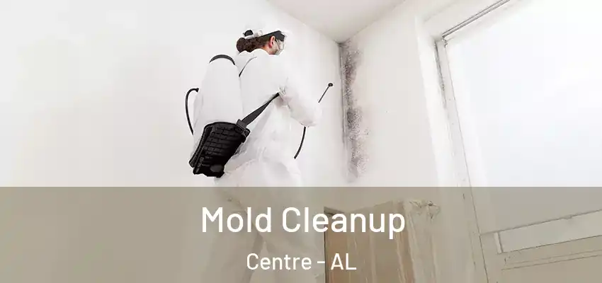  Mold Cleanup Centre - AL