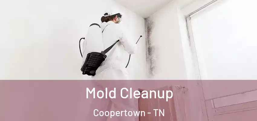  Mold Cleanup Coopertown - TN