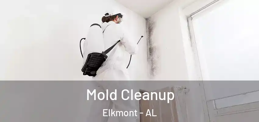 Mold Cleanup Elkmont - AL