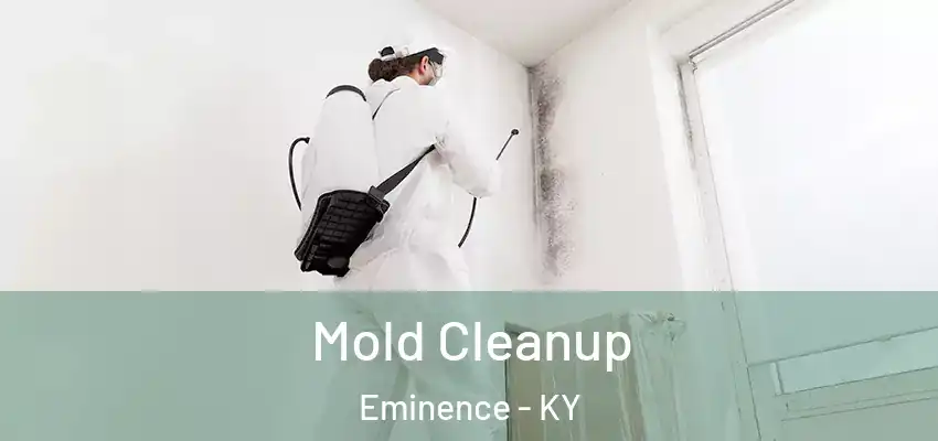 Mold Cleanup Eminence - KY