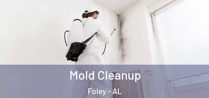  Mold Cleanup Foley - AL