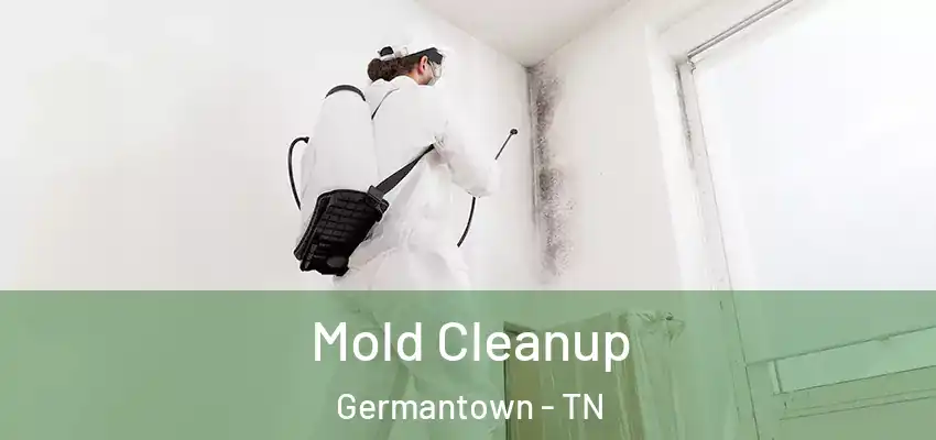 Mold Cleanup Germantown - TN