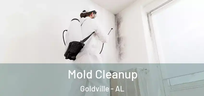 Mold Cleanup Goldville - AL