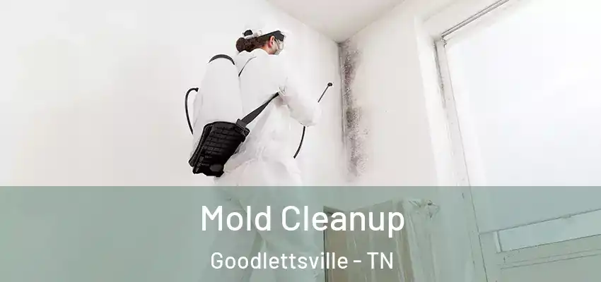  Mold Cleanup Goodlettsville - TN