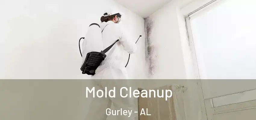  Mold Cleanup Gurley - AL