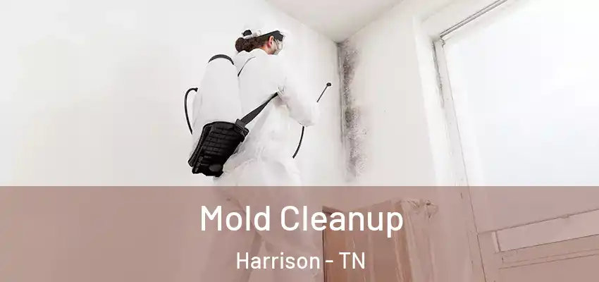 Mold Cleanup Harrison - TN