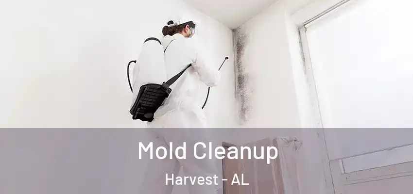 Mold Cleanup Harvest - AL