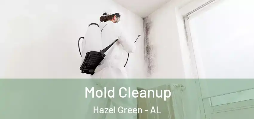 Mold Cleanup Hazel Green - AL