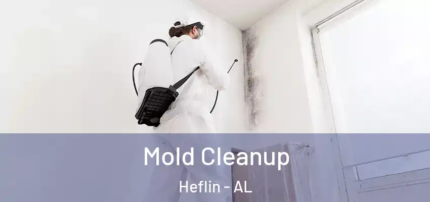 Mold Cleanup Heflin - AL