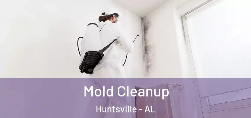  Mold Cleanup Huntsville - AL
