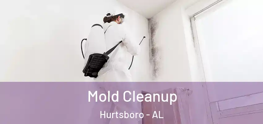 Mold Cleanup Hurtsboro - AL