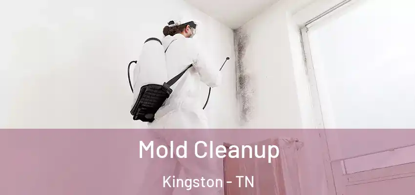  Mold Cleanup Kingston - TN