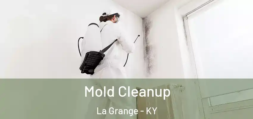 Mold Cleanup La Grange - KY