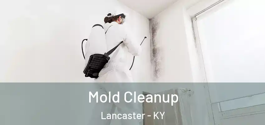  Mold Cleanup Lancaster - KY