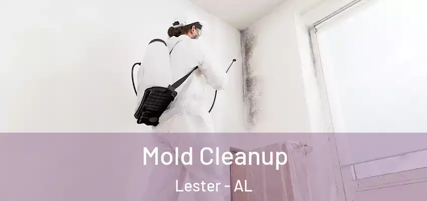 Mold Cleanup Lester - AL