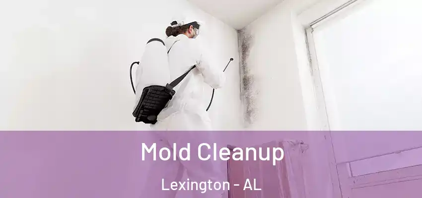Mold Cleanup Lexington - AL