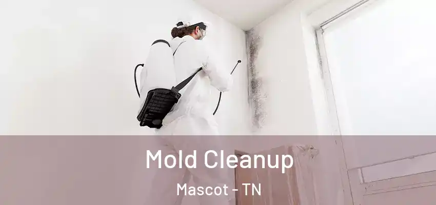 Mold Cleanup Mascot - TN