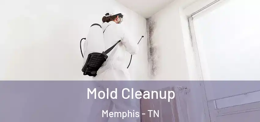 Mold Cleanup Memphis - TN