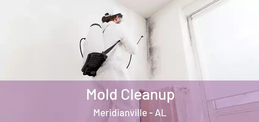 Mold Cleanup Meridianville - AL