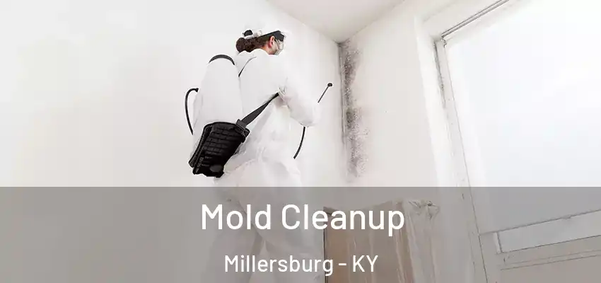  Mold Cleanup Millersburg - KY