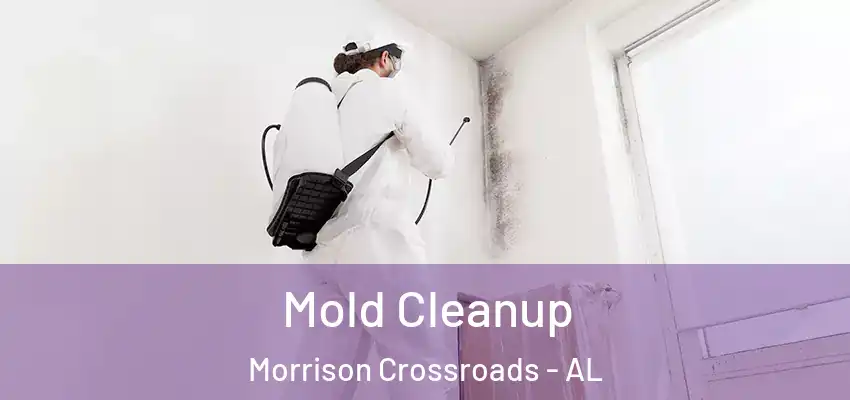  Mold Cleanup Morrison Crossroads - AL
