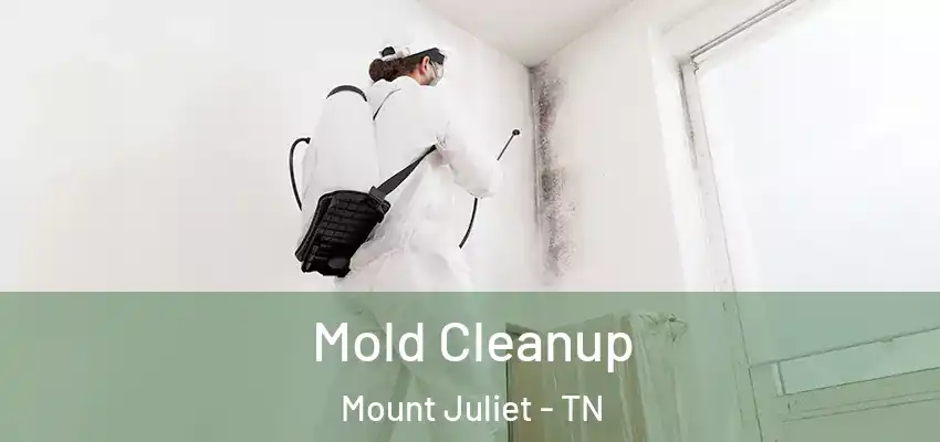 Mold Cleanup Mount Juliet - TN