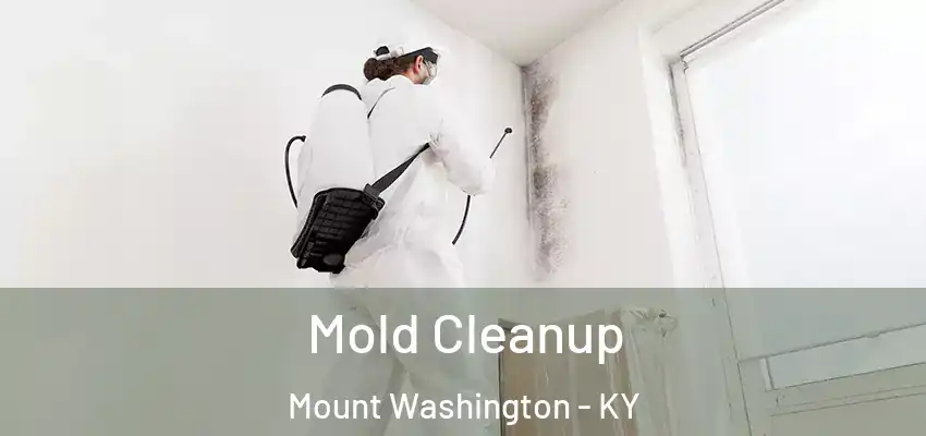  Mold Cleanup Mount Washington - KY