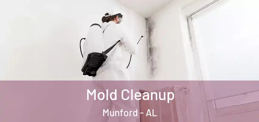 Mold Cleanup Munford - AL
