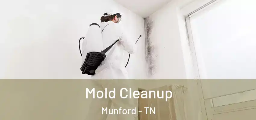  Mold Cleanup Munford - TN