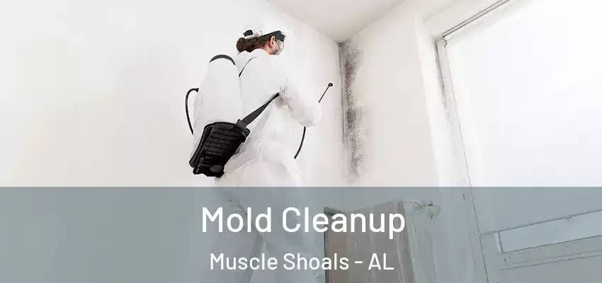  Mold Cleanup Muscle Shoals - AL