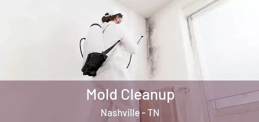 Mold Cleanup Nashville - TN