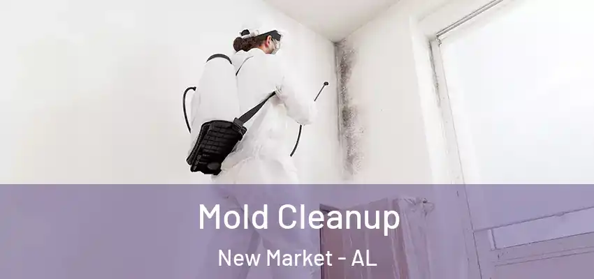  Mold Cleanup New Market - AL
