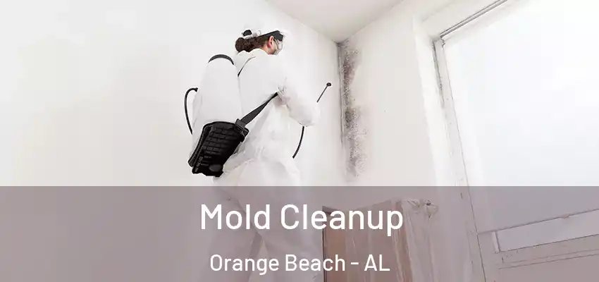  Mold Cleanup Orange Beach - AL